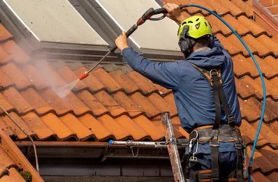 Démoussage et hydrofuge de toiture à Moisselles